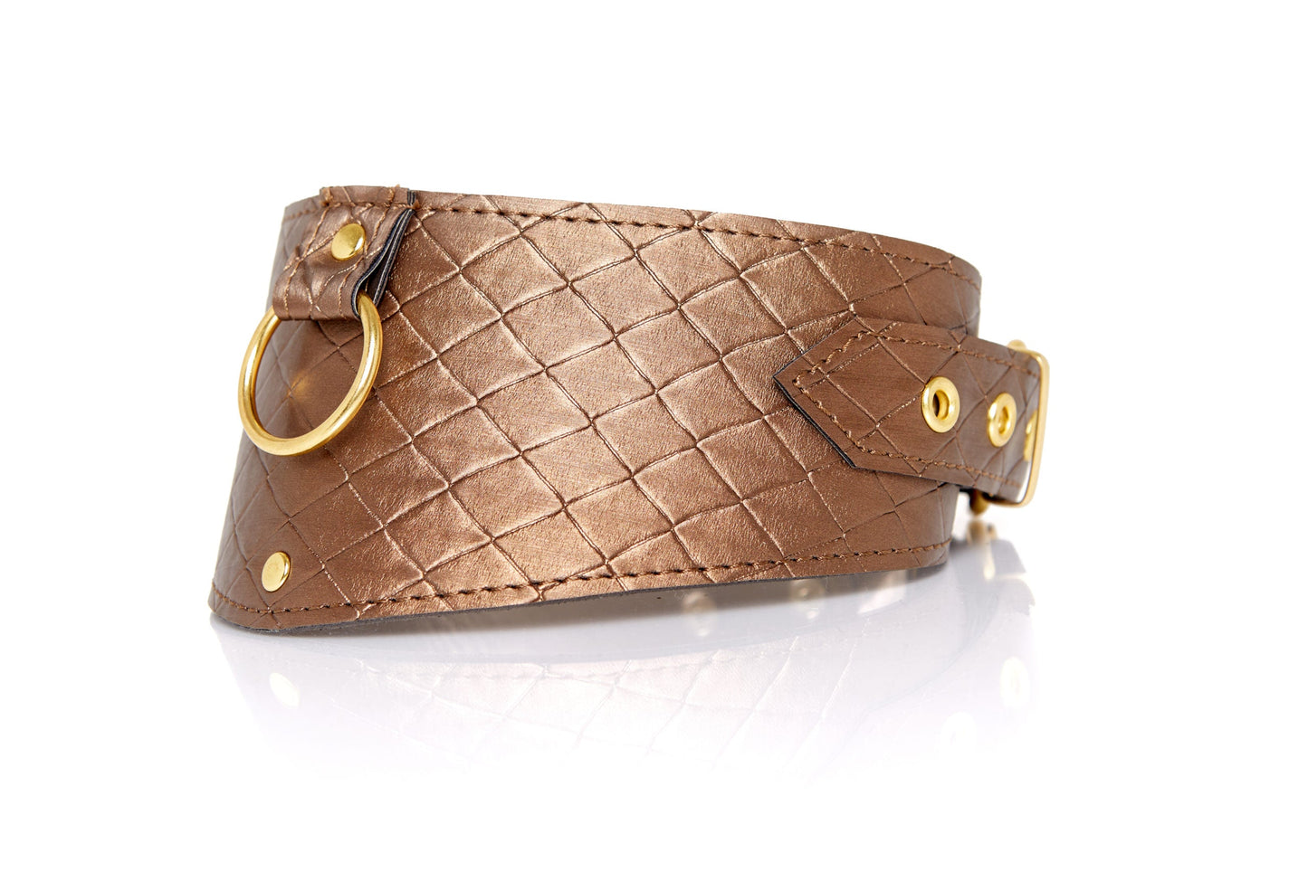 Allure 2095 Look At Me Posture Collar