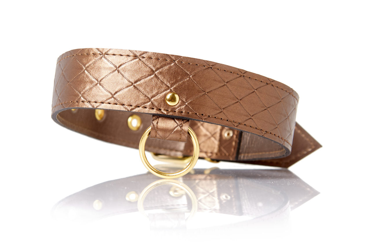 Allure 2094 Darling Collar With Leash