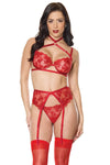 Scarlette Bra, Garter Belt & G-String