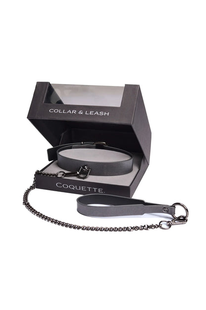 Gunmetal Glam Collar & Leash